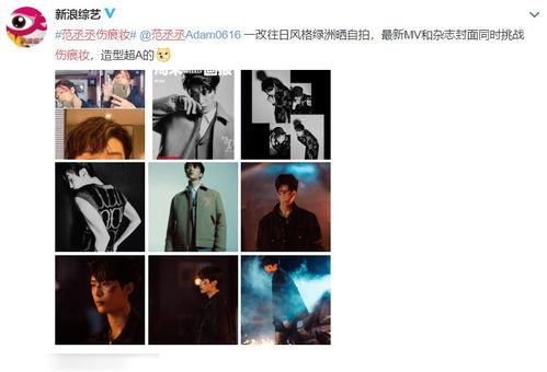 伤痕最新爆料视频,最新视频揭秘惊人内幕 第1张 伤痕最新爆料视频,最新视频揭秘惊人内幕 第1张