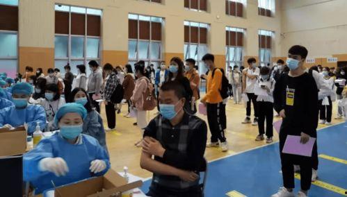 丽江安隐爆料最新消息,揭秘神秘事件背后的真相  第2张