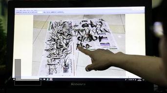 多鱼视频爆料,揭秘娱乐圈幕后真相