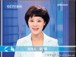 中央一套直播在线观看,实时掌握国家动态，畅享精彩瞬间  第3张