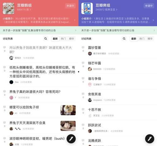 娱乐吃瓜聊天软件,揭秘明星幕后故事，带你畅游娱乐圈  第2张