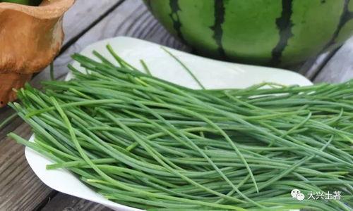 成县的吃瓜网红是谁啊,揭秘网络红人的魅力与影响力 第1张 成县的吃瓜网红是谁啊,揭秘网络红人的魅力与影响力 第1张